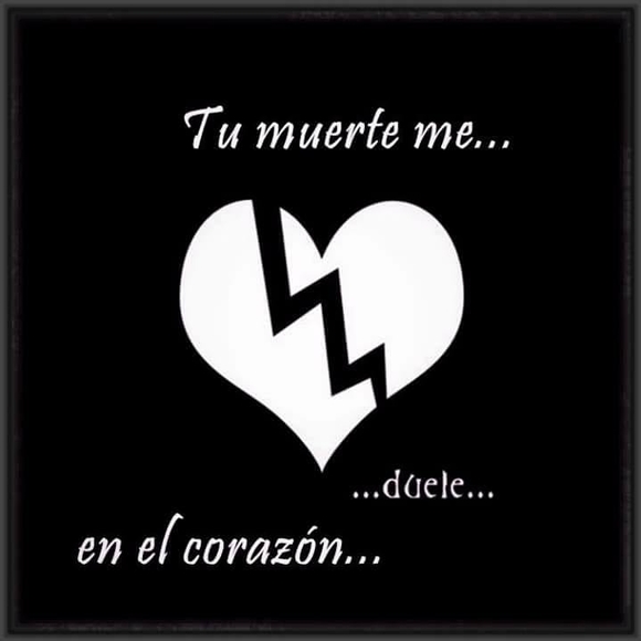 Meet your Posher, Ximena - Picture 1 of 1